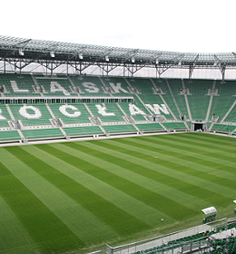 Nederlands graszaad verovert EK2012