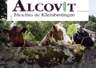 Alcovit