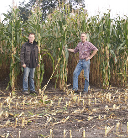 Primeur voor Baracco teler uit Wilbertsoord