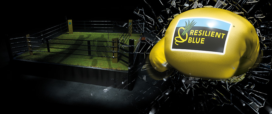 Header-product-ResilientBlue!
						