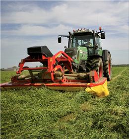 Barforma: massa met veel smaak