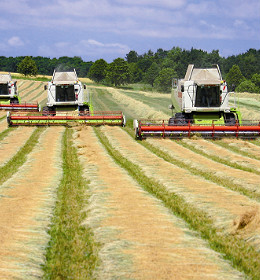 Opnieuw topopbrengsten wintertarwe JB Asano