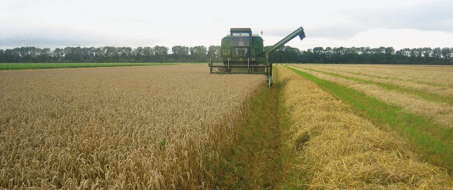 Large_Proterra_Cereals_HR