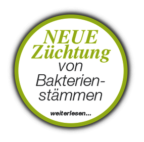 Diese Bakterien sind wirklich nützlich