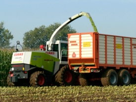 header maisoogst