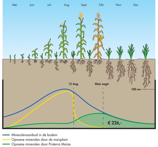 gras proterra