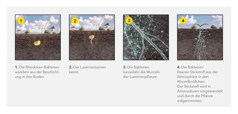 Afb_Hoe_werkt_YJ_Nitrogenerator_DE_2022.png