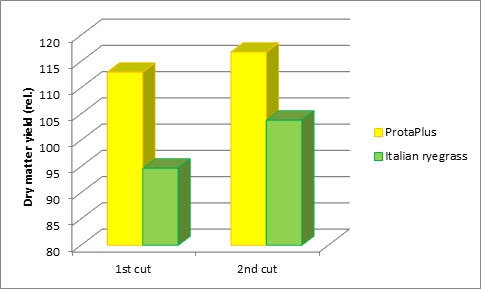 Protaplus-Highdrymatteryield_graph.jpg