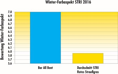 STRI2016_BarAllBent_WinterGreenness_DE.jpg