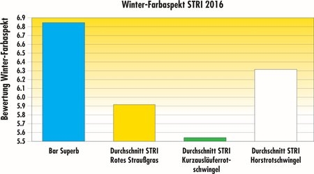 STRI2016_BarSuperb_WinterGreenness_DE.jpg