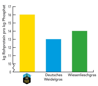 graph_herbe-minerale_de-edit.jpg