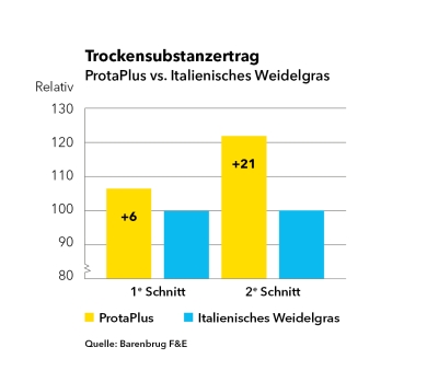 Trockensubstanzertrag