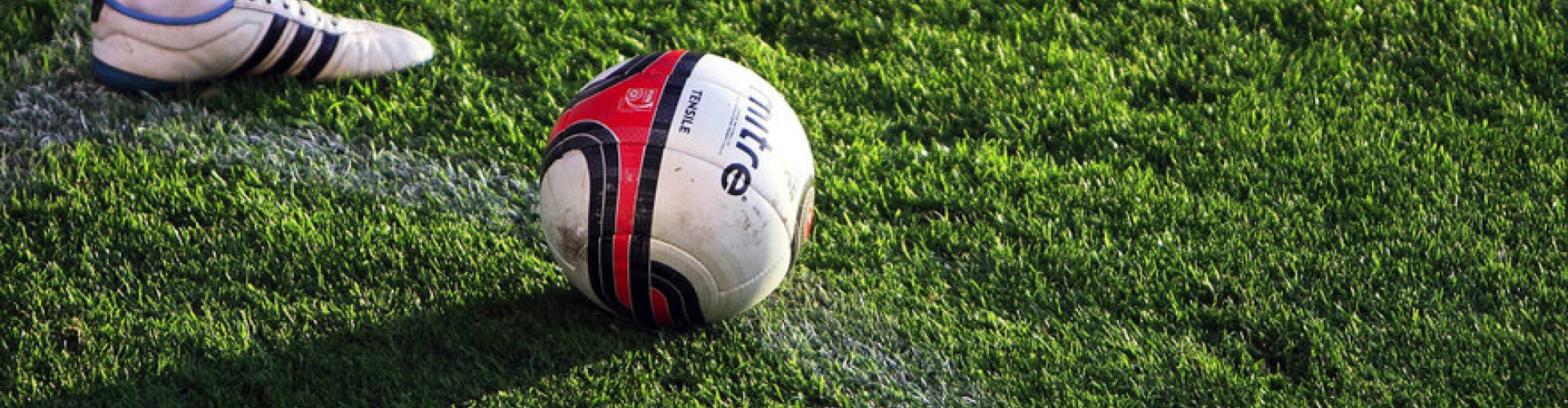 speedy green header