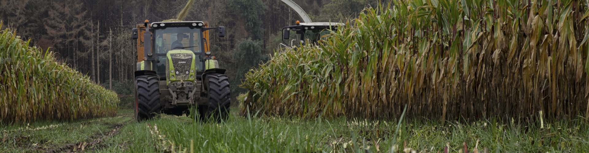 Proterra Maize