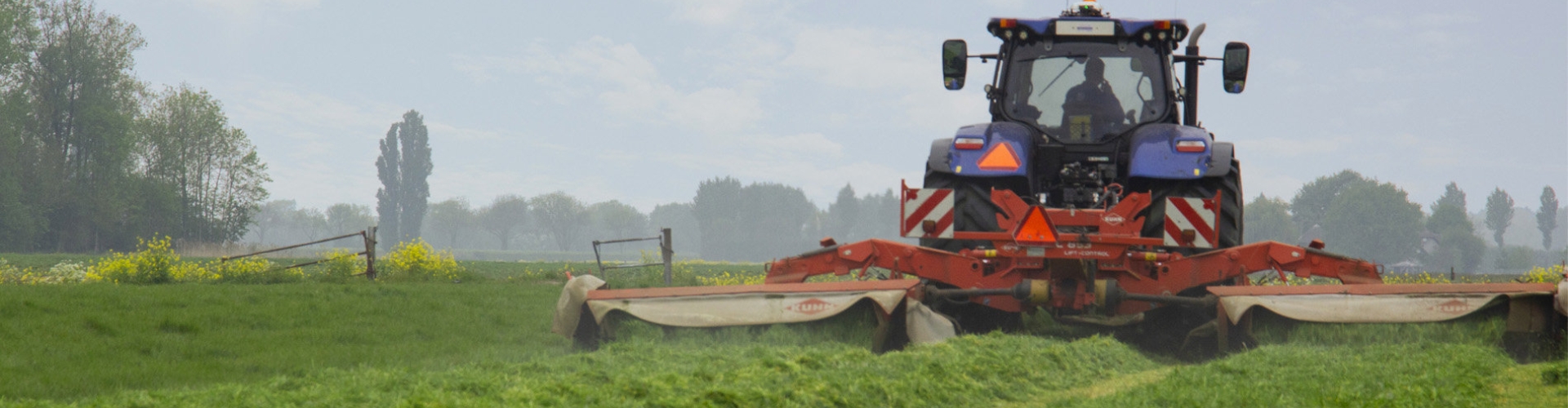 header bonsilage artikel