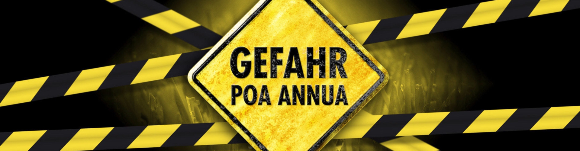 HEADER_DE_Danger-Poa-Annua.jpg