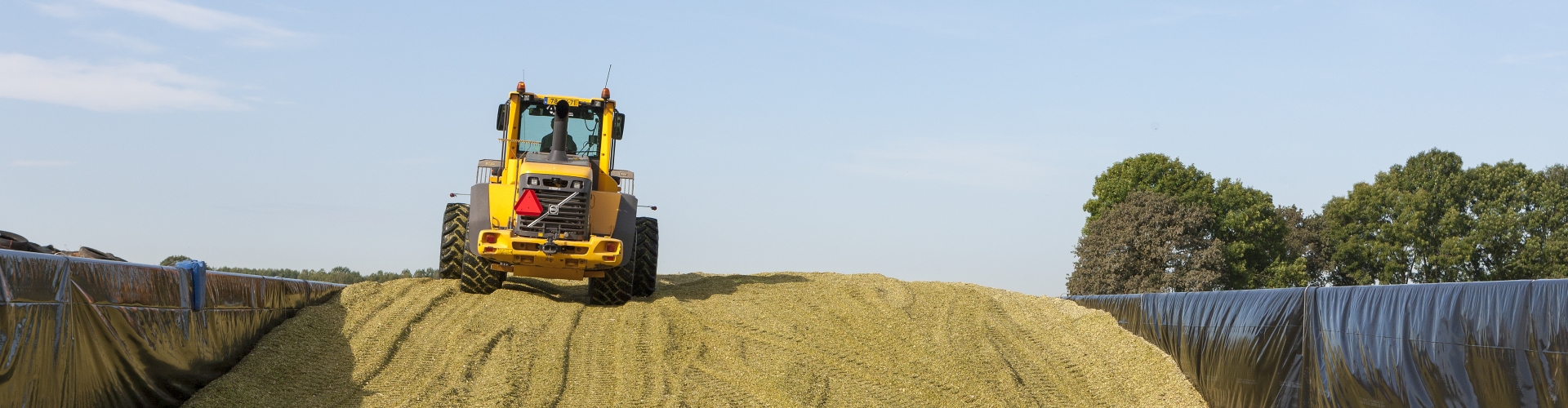 Bonsilage Mais