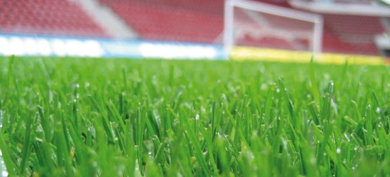 Large_SportGazon