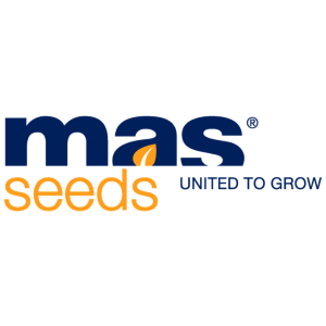 MAS SEED