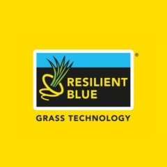 resilient blue logo